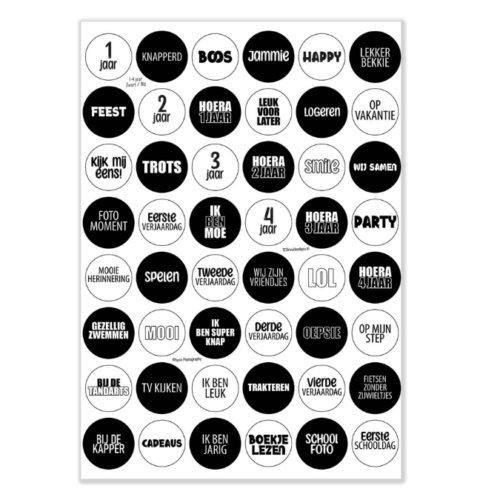 Stickervel - Leeftijd 1 t/m 4 jaar - Nieuw