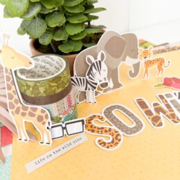 Say Cheese Wild – Collection Kit